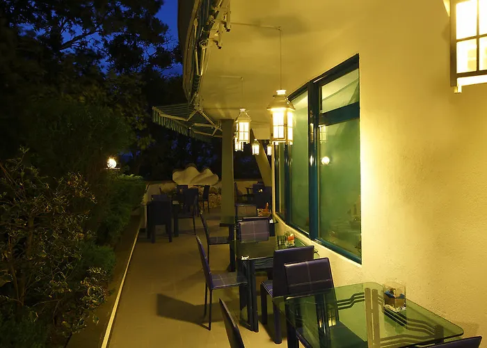 елмар Китен